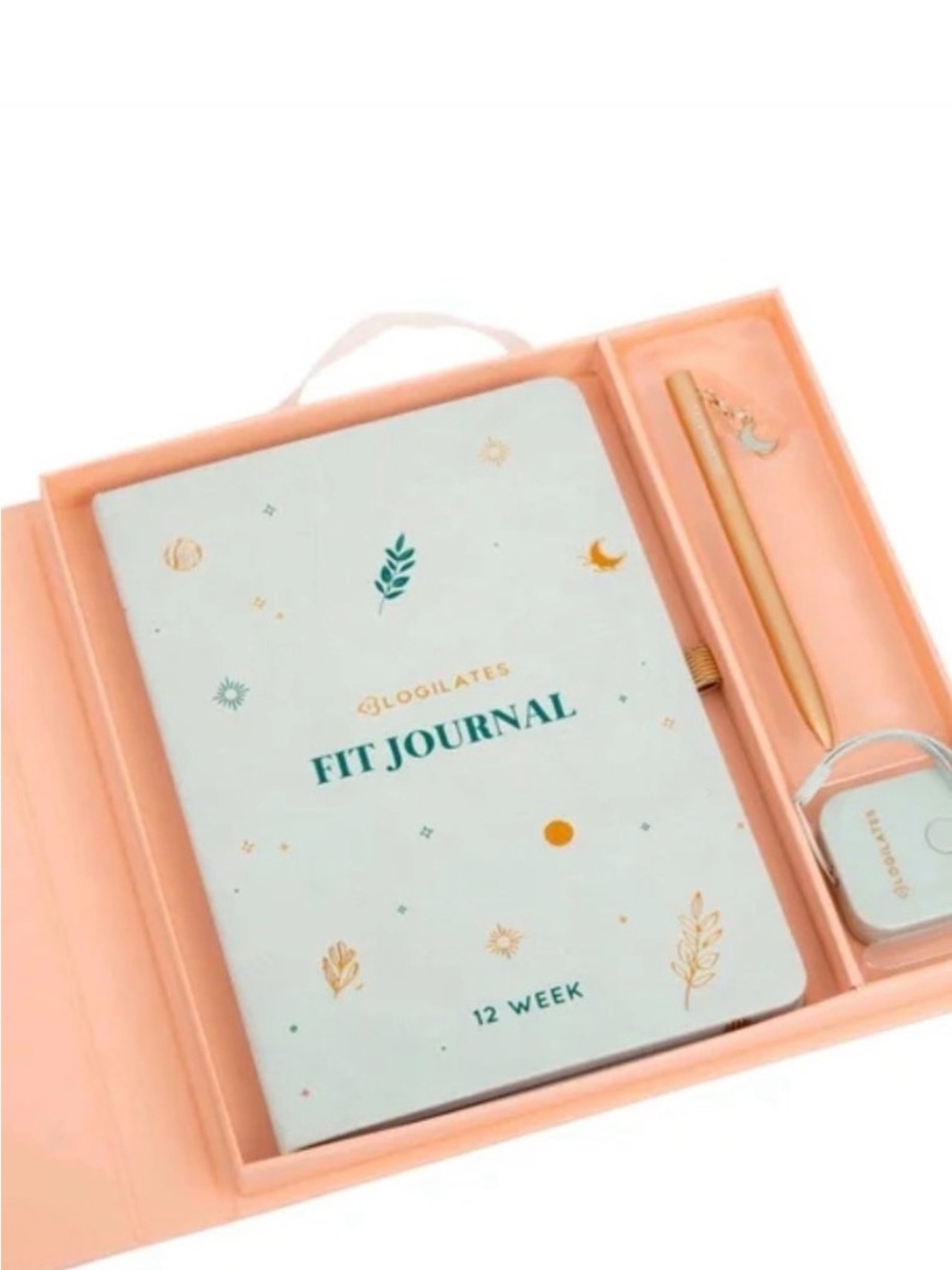 Blogilates fit journal 12 week fitness planner